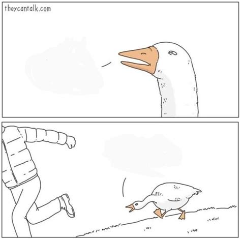 Angry goose Blank Template - Imgflip