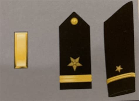 officer rank structure flashcards quizlet