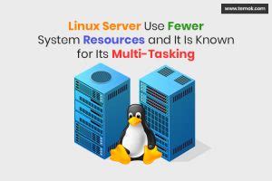 Linux Server Vs Windows Server Best Choice For Business