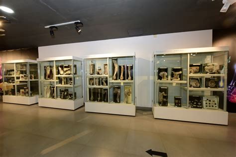 Manipal Museum of Anatomy and Pathology - Manipal Academy of Higher Educationputting manipal on ...