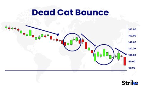 Dead Cat Bounce Definition History Identification Examples Causes