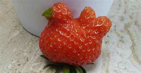 98 Unusually Shaped Fruits And Vegetables That Look Like Something Else