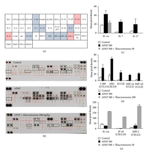 Downregulation Of Proinflammatory Cytokines In The Liver Of