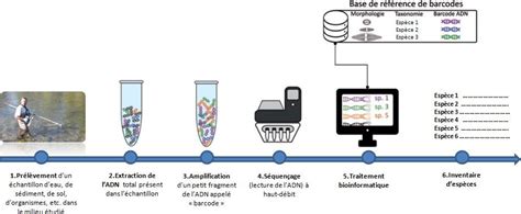 L Adn Environnemental Une Révolution Pour L étude De La Biodiversité