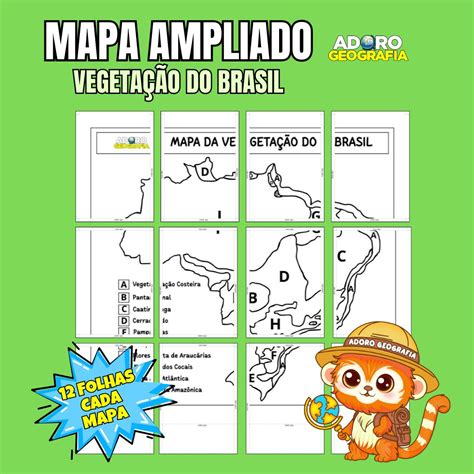 Mapa Ampliado da Vegetação do Brasil – Adoro Geografia