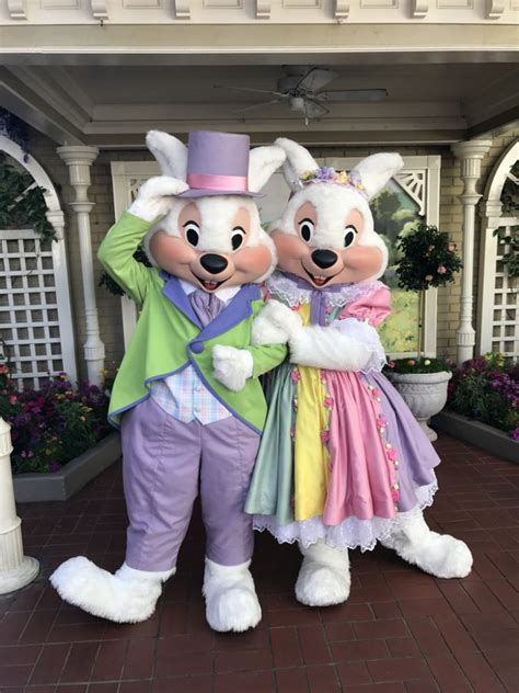 Mr And Mrs Easter Bunny Doctor Disney