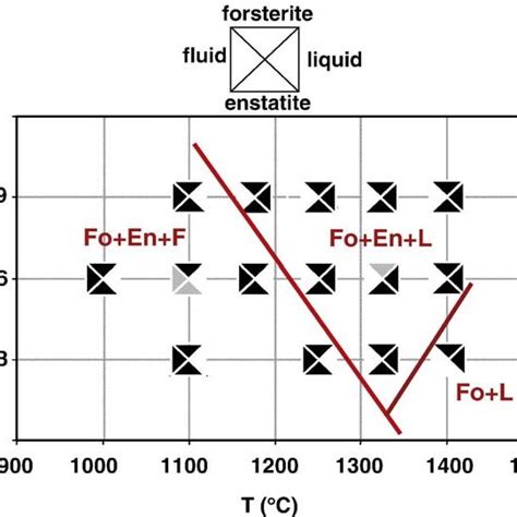 Phase Diagram In The System Mgo Sio 2 H 2 O With Forsteriteenstatite