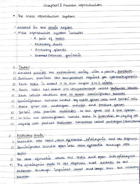 Class 12 Biology Ch3 Human Reproduction Handwritten Notes By Muskaan