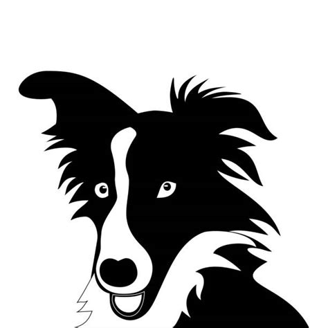 Border Collie Silhouette Svg Free 278 Svg Png Eps Dxf File