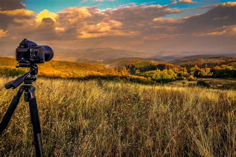 The Complete Guide to Nature Photography for Beginners