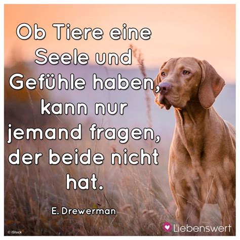 Spr Che F R Tierliebhaber Zitate Tiere Tiere Spr Che Tiere