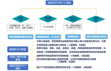 指南速递｜更新要点！中国缺血性卒中和短暂性脑缺血发作二级预防指南2022缺血性卒中危险因素指南患者 健康界