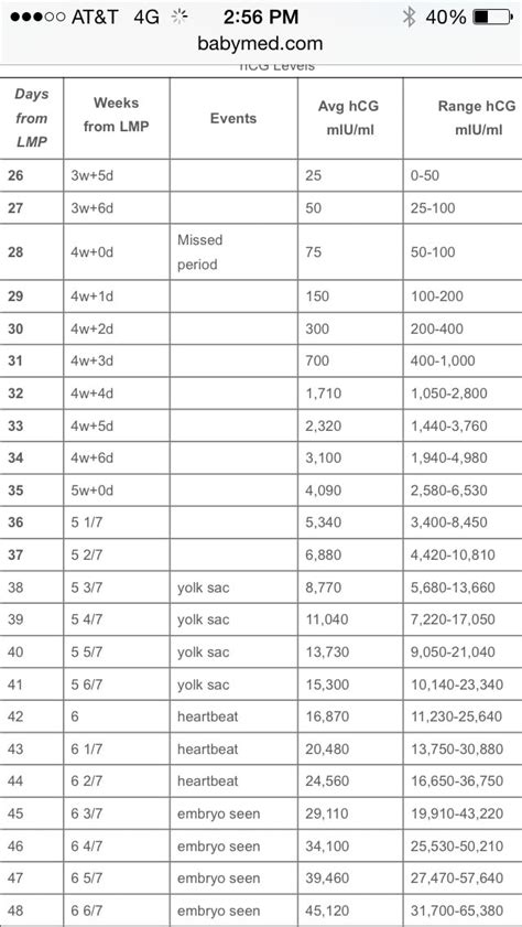 HCG Levels — The Bump