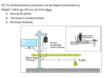 Answered Q For The Biomechanics Experiment Bartleby