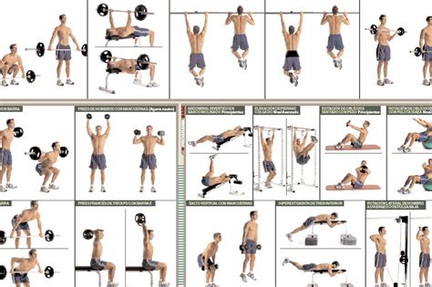 Tabla De Ejercicios Con Mancuernas Con Dibujos Gu A Visual Completa