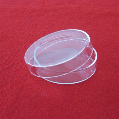 Jual Cawan Petri Kaca Petridish Petri Dishes X Mm Shopee