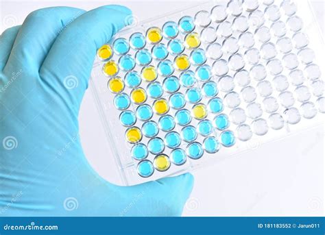 Enzyme Linked Immunosorbent Assay Or Elisa Plate Stock Photo Image Of