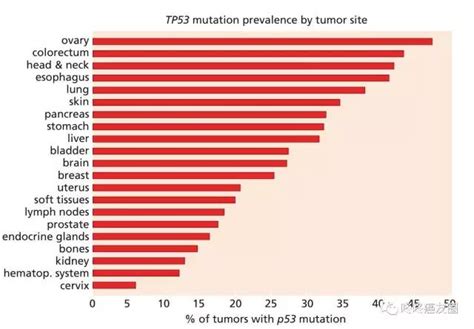 攻克p53突变：一文详解抗癌路