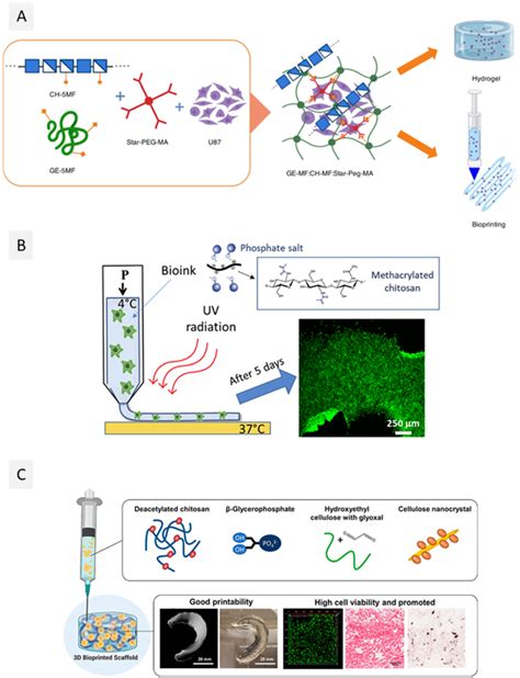 Figure 1 From A Guide To Polysaccharide Based Hydrogel Bioinks For 3d