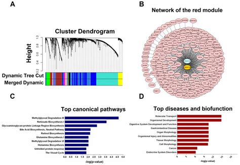 Weighted Gene Correlation Network Analysis Wgcna And Pathway Analysis