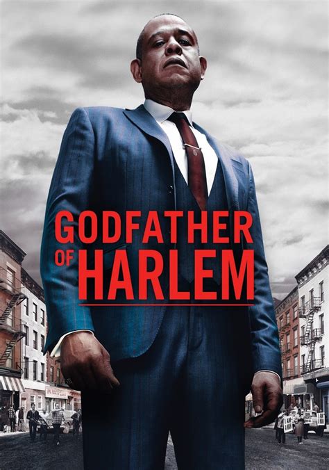 Godfather Of Harlem Season Watch Episodes Streaming Online