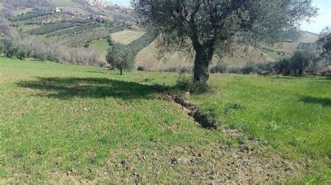 Tortoreto Frana Cavatassi Durante I Lavori Affiorano 4 Scheletri Di