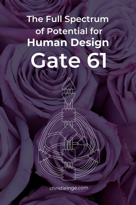 Gate Human Design Meaning Zinkcolorrainbowcolorsynthetpurchase