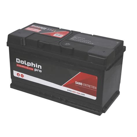 DOLPHIN Pro 90 Ah batterie 12V démarrage bateau et auxiliaire mini van