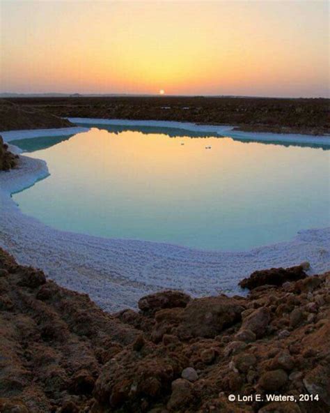 Siwa oasis Egypt Siwa Oasis, Famous Places, Morocco, Egypt, Around The ...