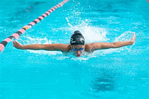 The Best Competitive Swim Team In Palo Alto — Alto Swim Club