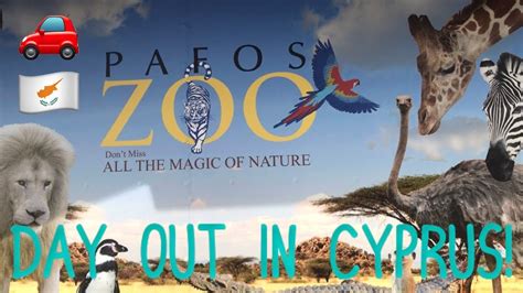 Pafos Zoo Youtube