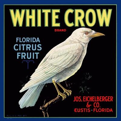 white crow brand eustis florida retro citrus fruit crate label art