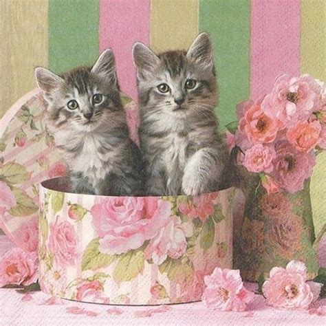 Serviettes En Papier D Coupage Collage Cm Chatons Dans Une Boite