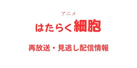 Nhkアニメはたらく細胞の再放送はいつ？見逃し配信の視聴方法も解説