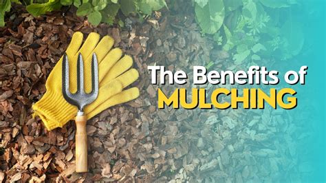 The Benefits Of Mulching Youtube