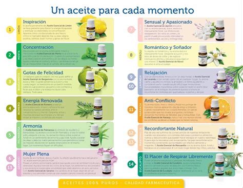 Aceites Esenciales Just Aromaterapia Un Aceite Para Cada Momento