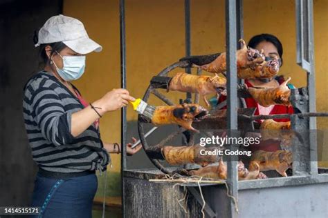 49 Guinea Pig Ecuador Stock Photos, High-Res Pictures, and Images ...