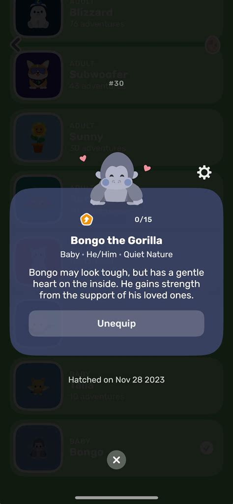 Bongo! 🦍🩶 : r/finch