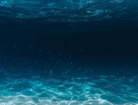 What Are The Deepest Parts Of The Ocean Ocean Info