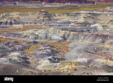 USA, Arizona, Holbrook, Petrified Forest National Park, Badlands Stock ...