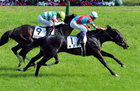 半馬身差のダービーから7年 キズナ、エピファネイアの終わりなき戦い 日刊ゲンダイ競馬