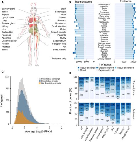 A Deep Proteome And Transcriptome Abundance Atlas Of 29 Healthy Human