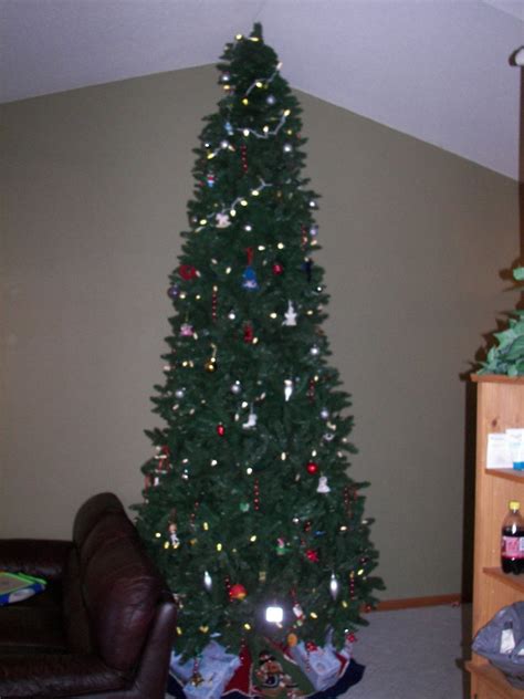 The Story Of The 12 Foot Christmas Tree Anthony And Kayla Schaefers Blog