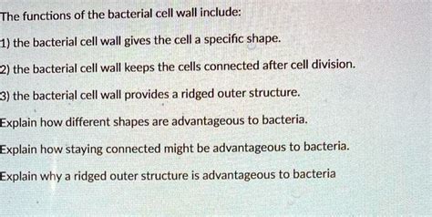 Solved The Functions Of The Bacterial Cell Wall Include 1 The