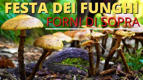 Forni Di Sopra Festa Dei Funghi Trekking Friuli Venezia Giulia Youtube