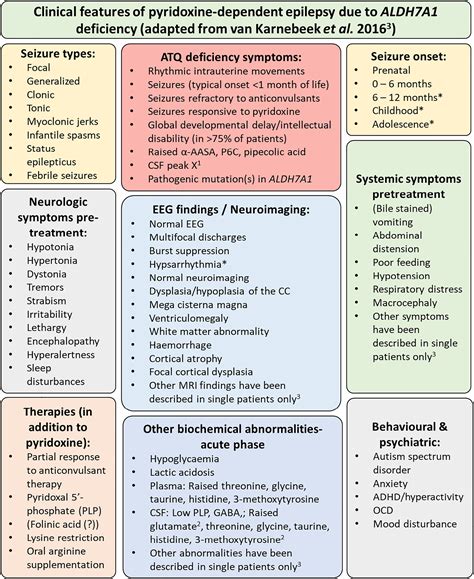 What Are Symptoms Of Vitamin B6 Deficiency at Dakota Bunce blog