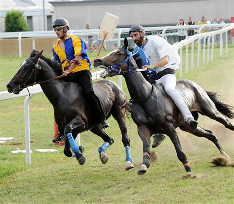 Abbiategrasso Il Palio Di San Pietro Gialloblu Trionfa Bastiano Sini