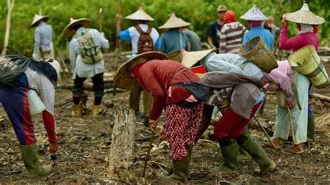 Mengenal 3 Tradisi Adat Provinsi Sumsel Yang Menjadi Warisan Budaya