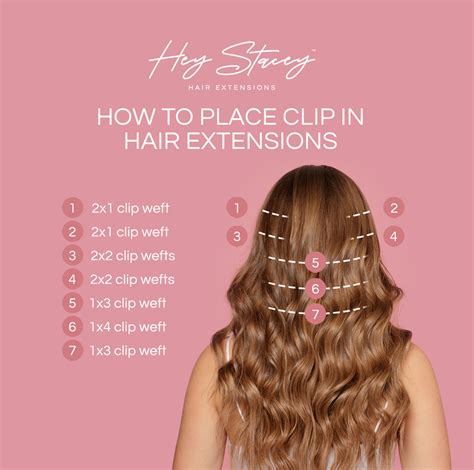 Clip In Hair Extensions Explained Clip Ins Placement Diagram