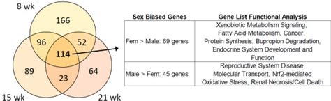 Venn Diagram Analysis Of Sex Biased Genes During Middle Age The